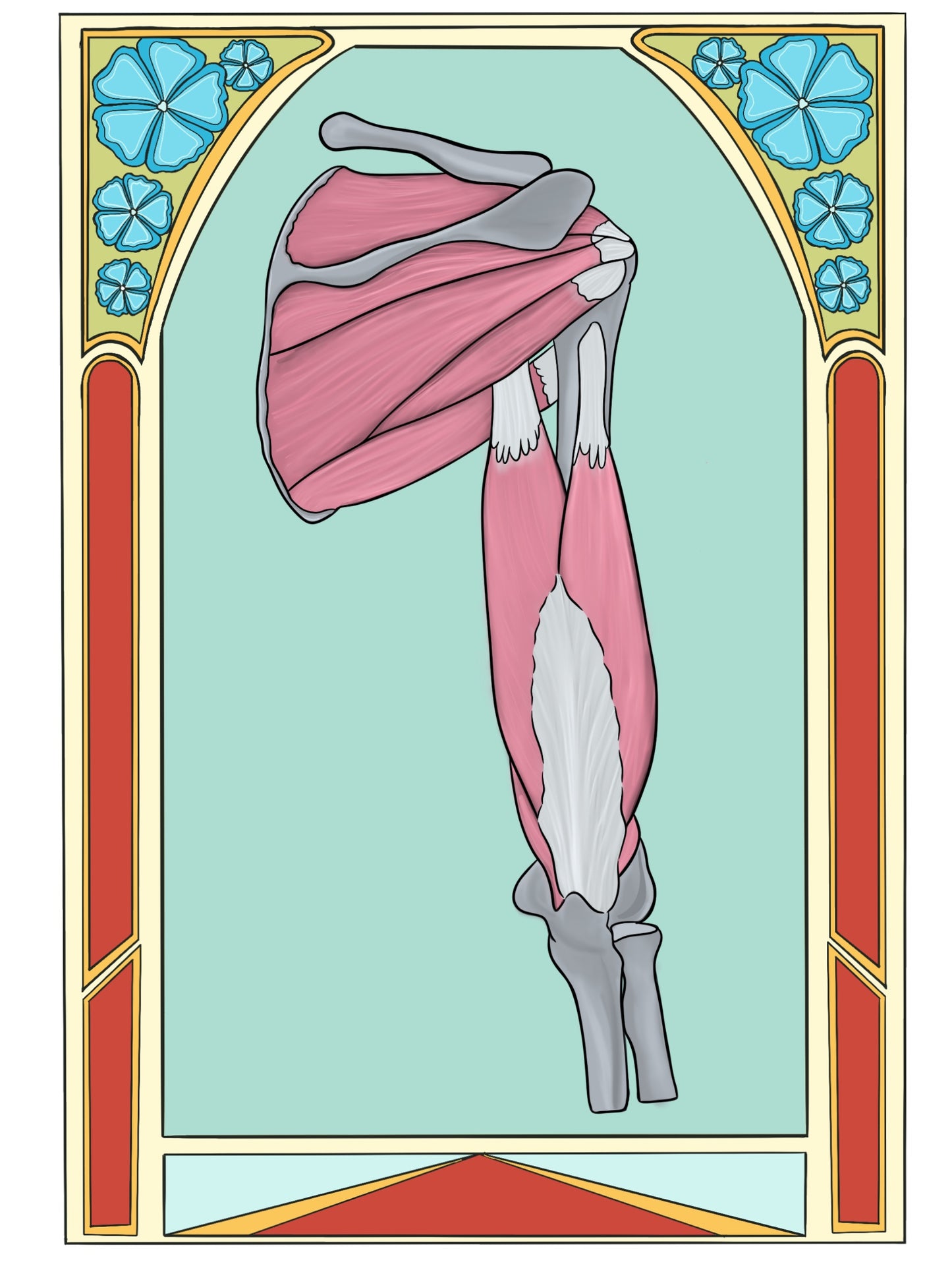 Shoulder and Posterior Arm Art Print