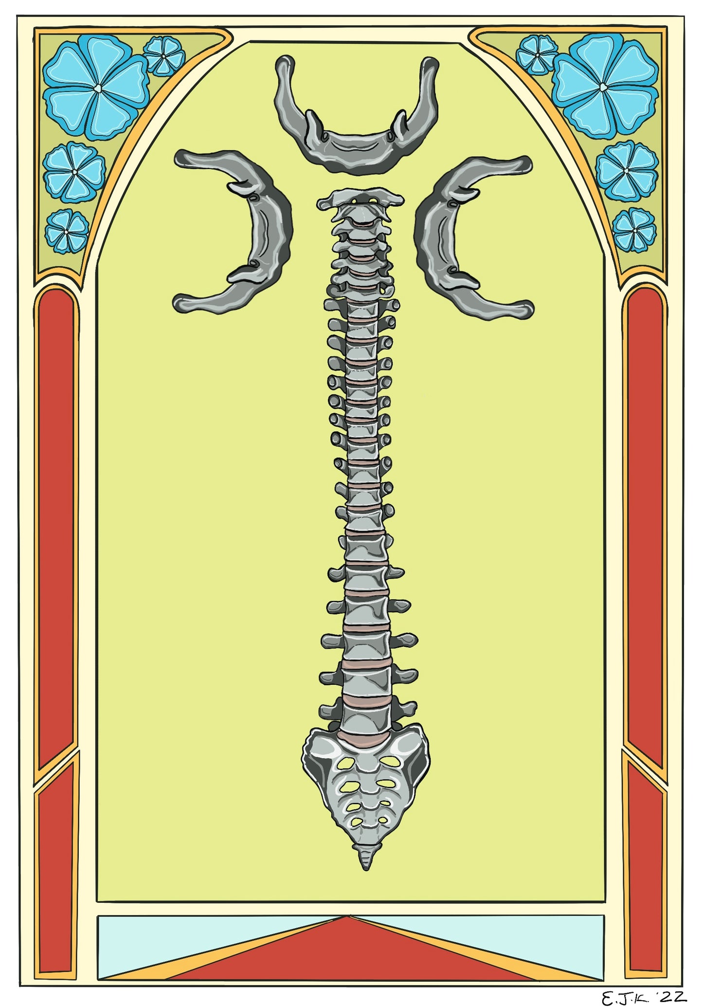 Human Spine with Hyoid Bone