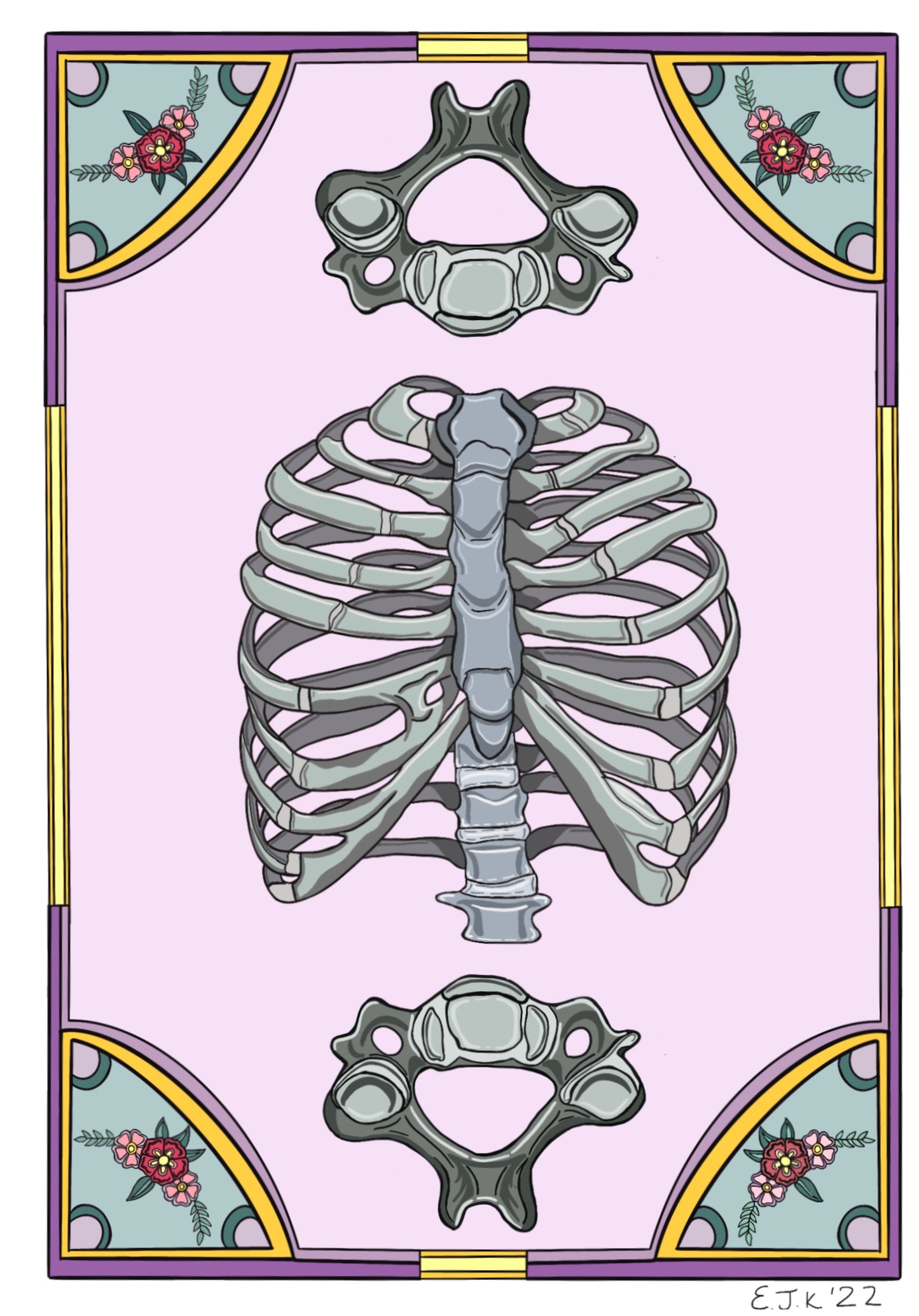 Ribs, Atlas, and Axis Art Print