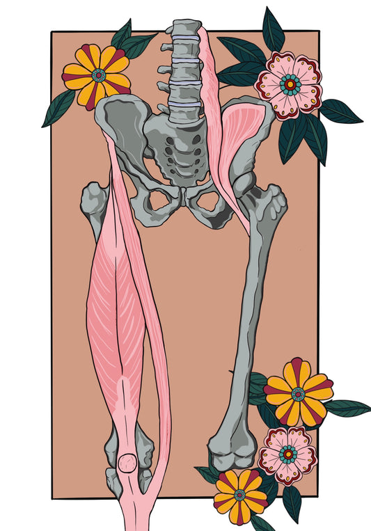 Pelvis and Femur Floral Art Print
