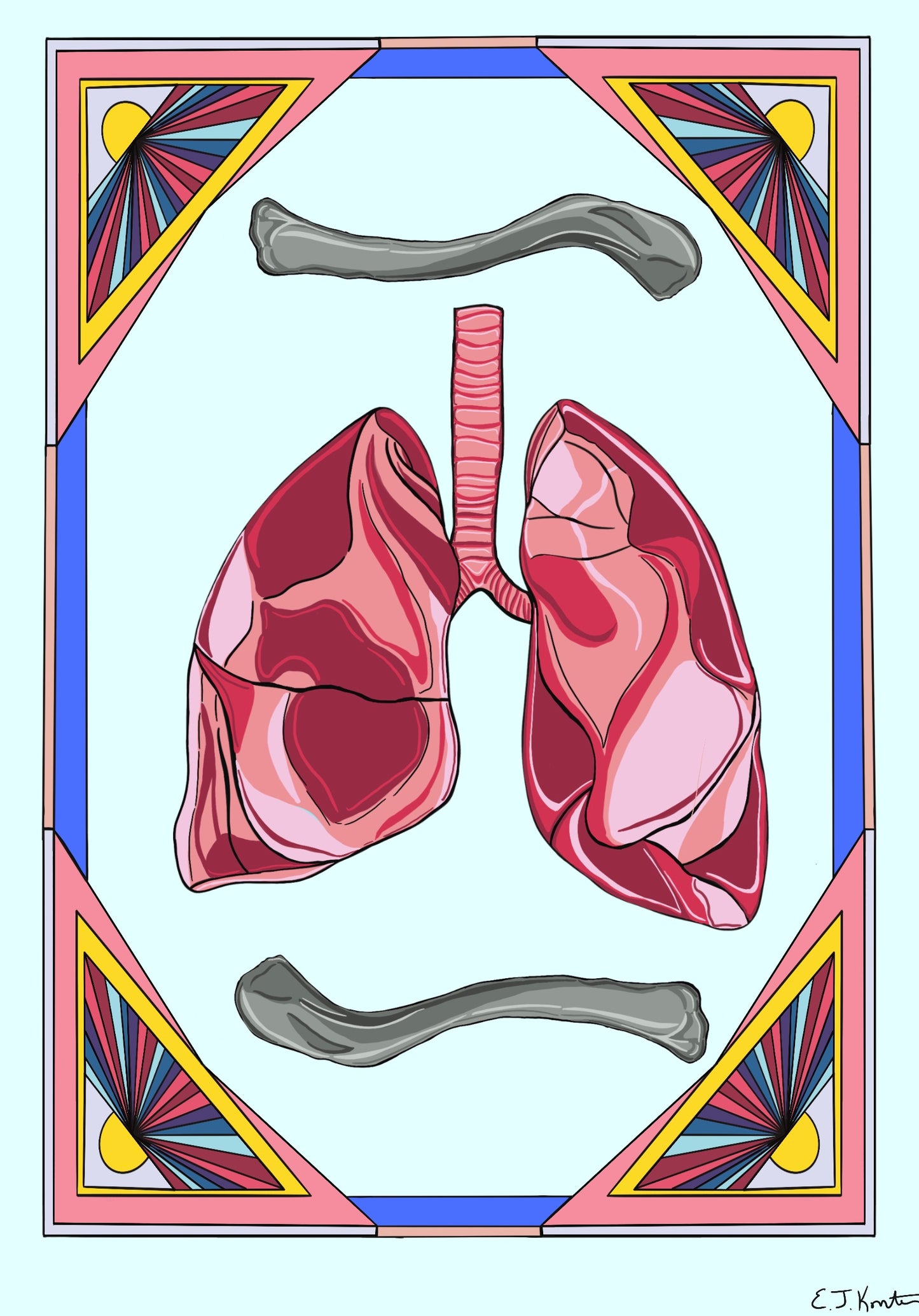 Lungs and Clavicle Art Print